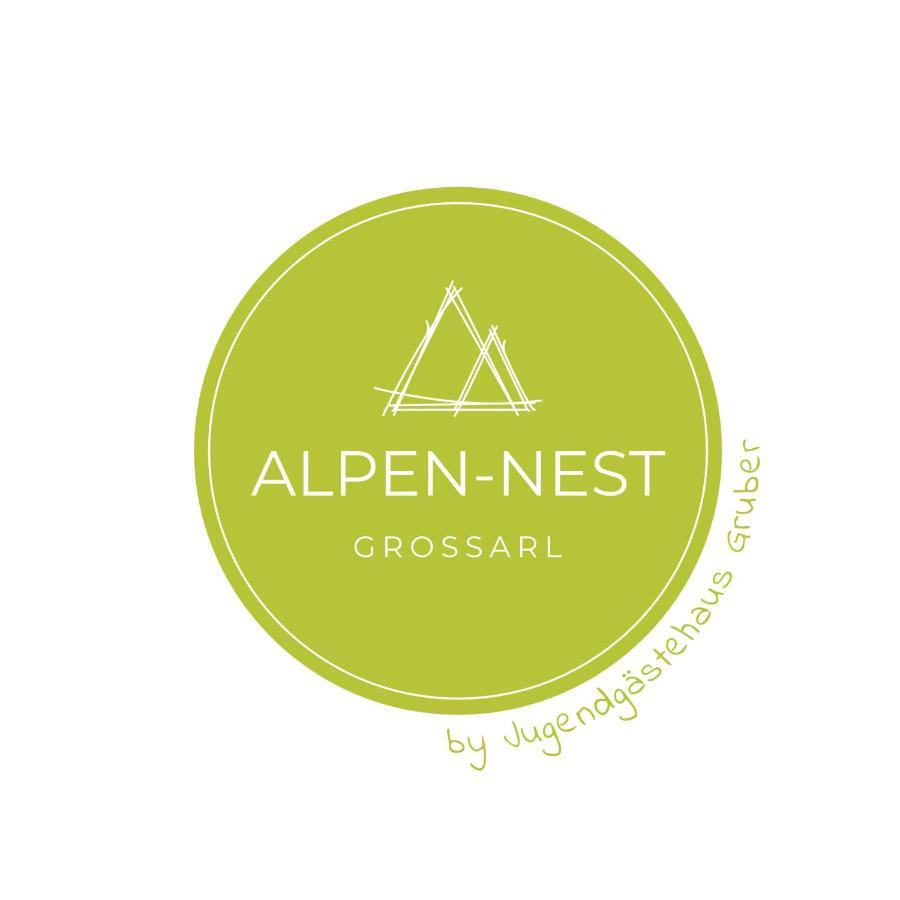 Alpen-Nest Grossarlアパートメント エクステリア 写真