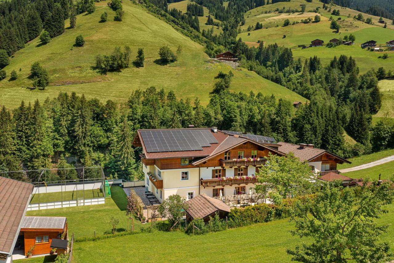 Alpen-Nest Grossarlアパートメント エクステリア 写真